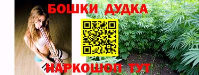 гидра Кинель